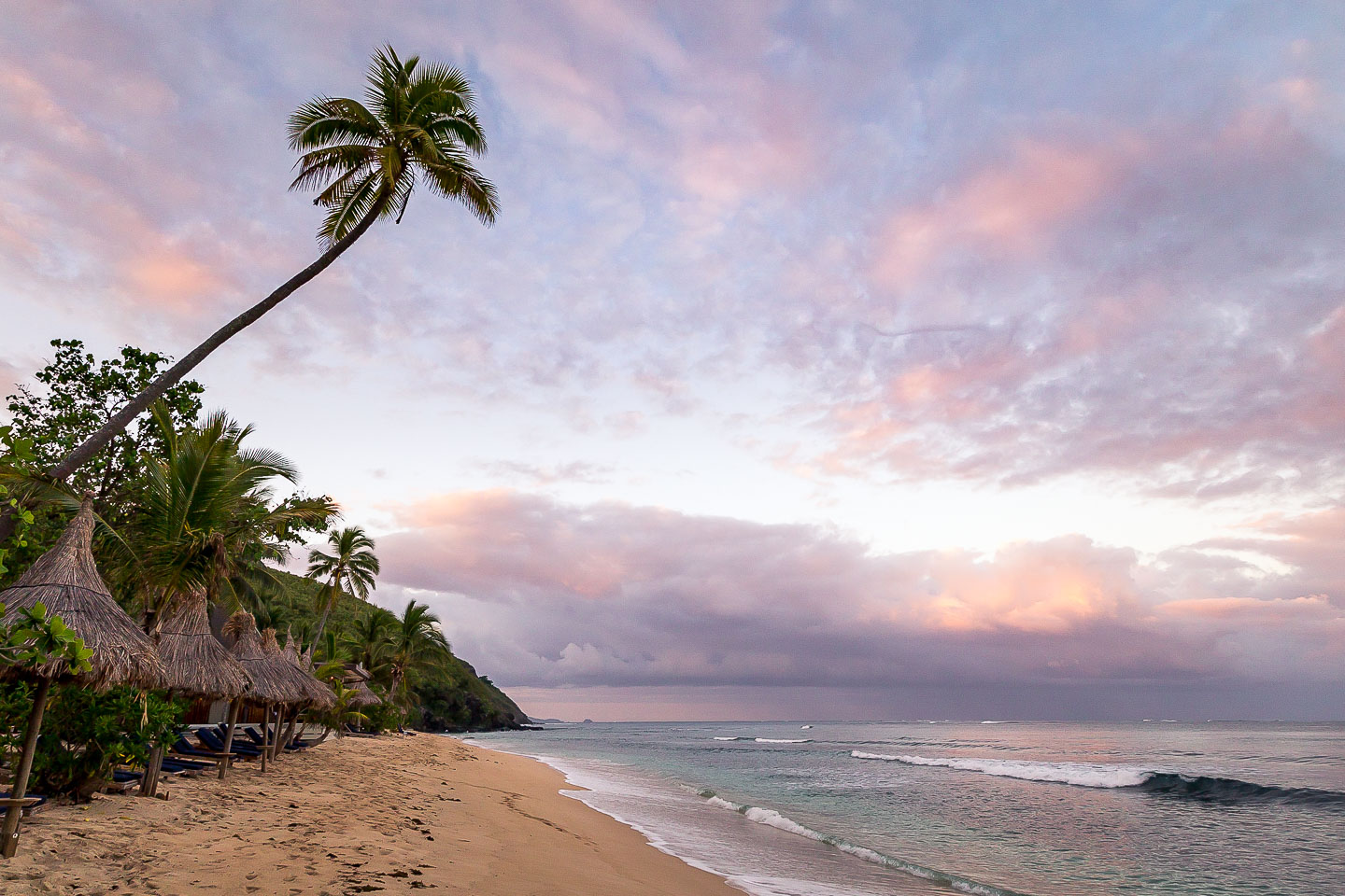 Sunset and palm tree in the Yasawa Islands, Fiji