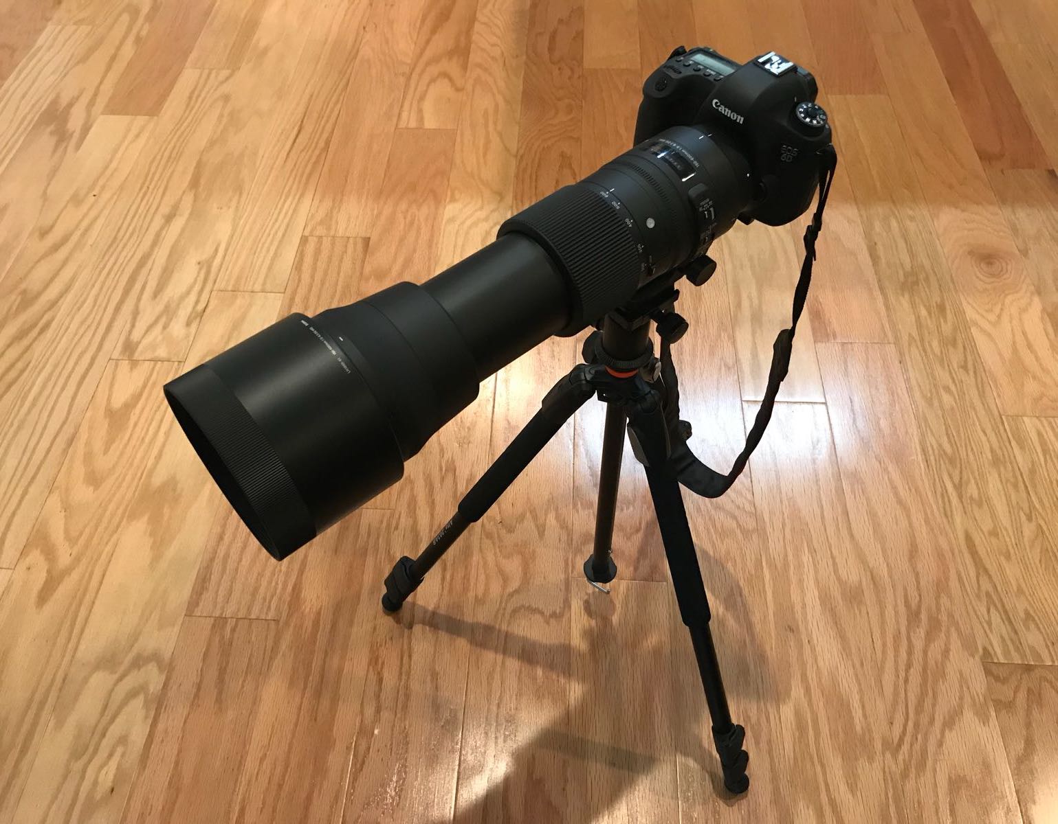 New addition to our camera gear, a telephoto lens - Sigma 150-600 mm f/5.0-6.3