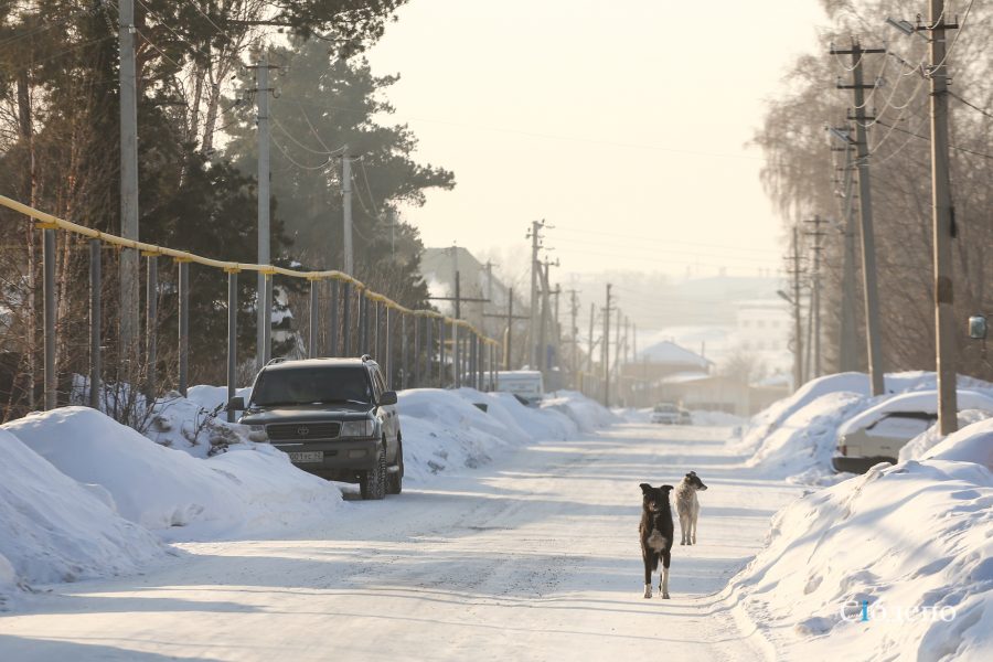 Резкое похолодание до -32 придёт в Кузбасс в выходные