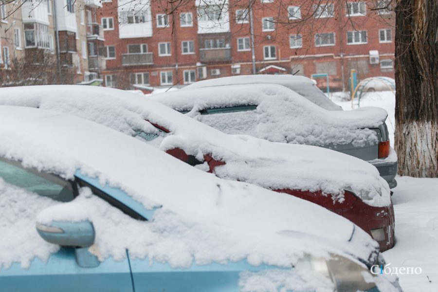 В Кемерове почти на сутки запретят стоянку авто из-за лыжного марафона