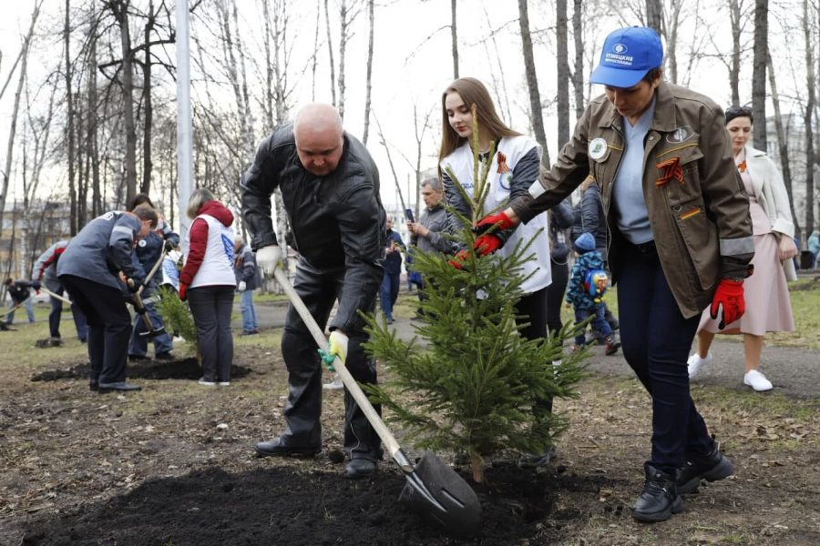 В память о земляках в Кузбассе высадят почти 500 тысяч деревьев
