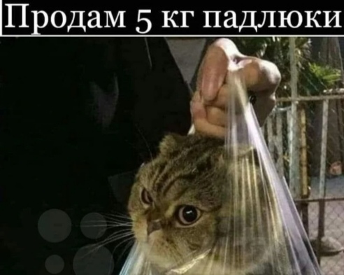 В Кемерове отдают бесплатно падлу в мешке