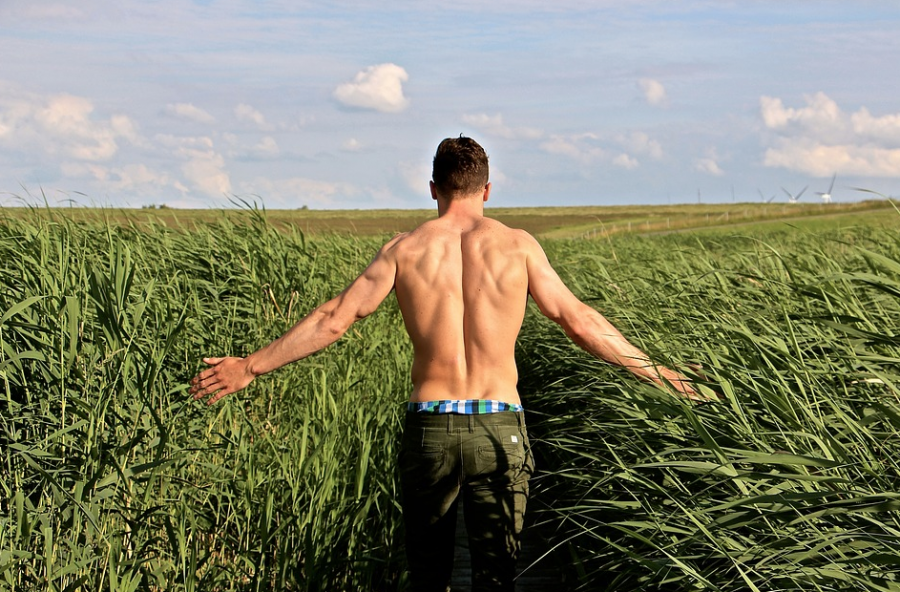 Эксперты рассказали, почему трава спасает и губит Кузбасс