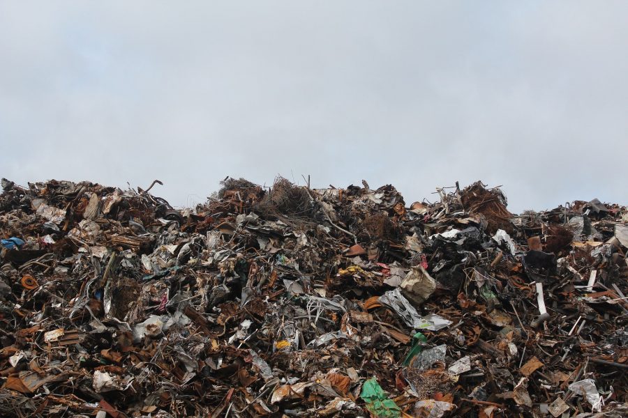 «Не вывозят три месяца»: кемеровские мусорщики забыли об уборке отходов