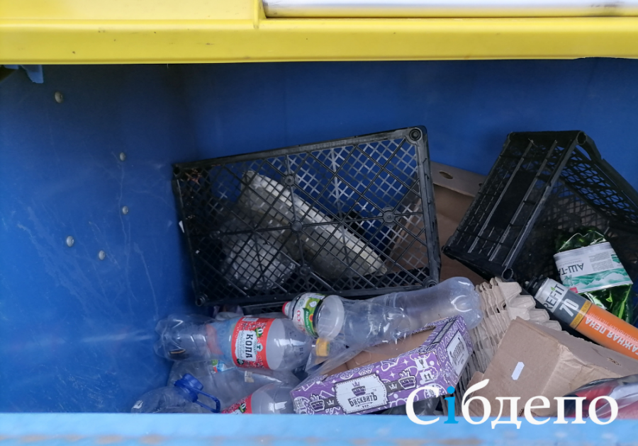 В Лесной Поляне Кемерова возникли серьёзные трудности с вывозом мусора