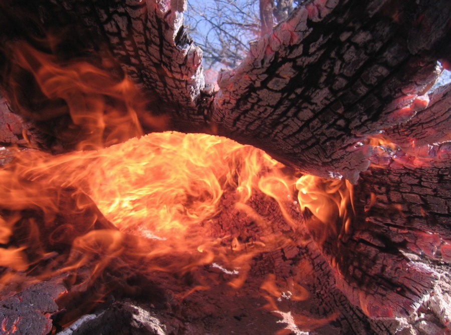 Сгорели четыре Дании: пожары в Сибири могут стать рекордными по площади