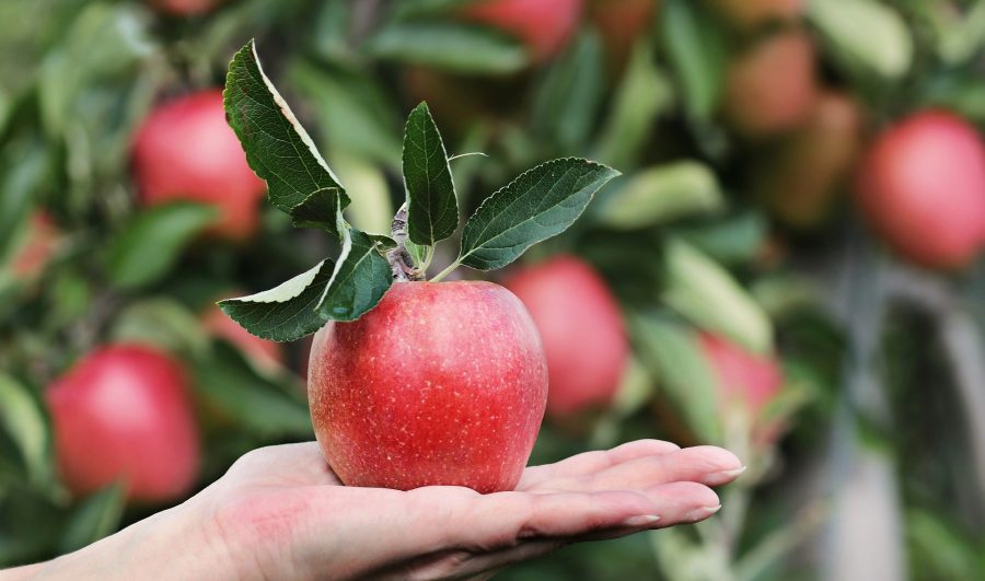 В Кузбассе резко взлетели цены на яблоки