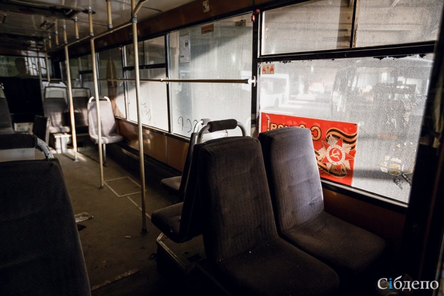 Пассажиры трамвая в Кемерове испугались хвостатого кондуктора