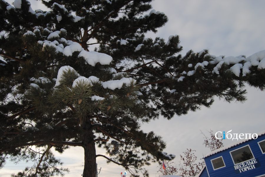 Прогноз погоды на новогоднюю ночь и 1 января резко изменился в Кузбассе