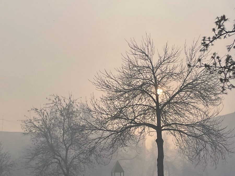 «Не похоже на простой туман»: Кемерово накрыла странная мгла