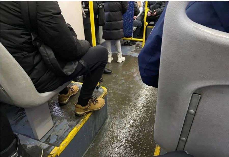 В Новокузнецке пассажирка увидела в автобусе ужасное и не смогла сесть