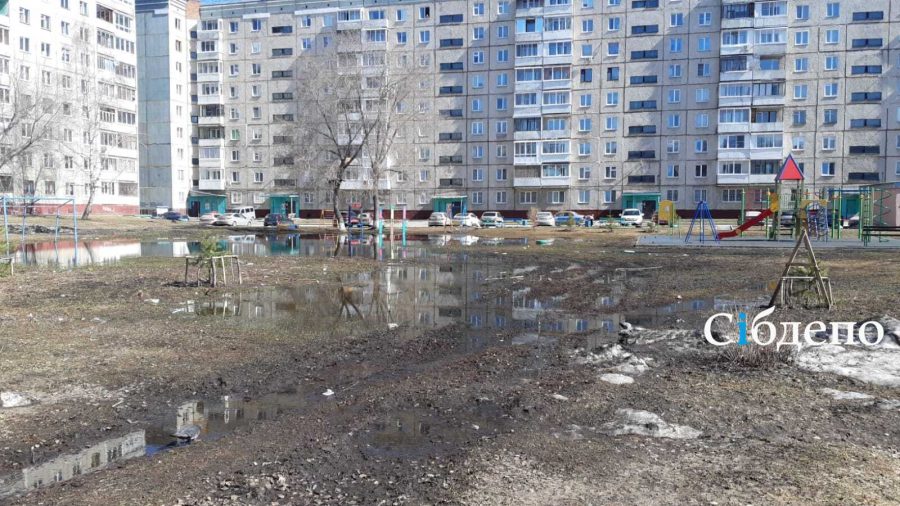 В Кемерове исчез водоём, где обосновались дикие уточки