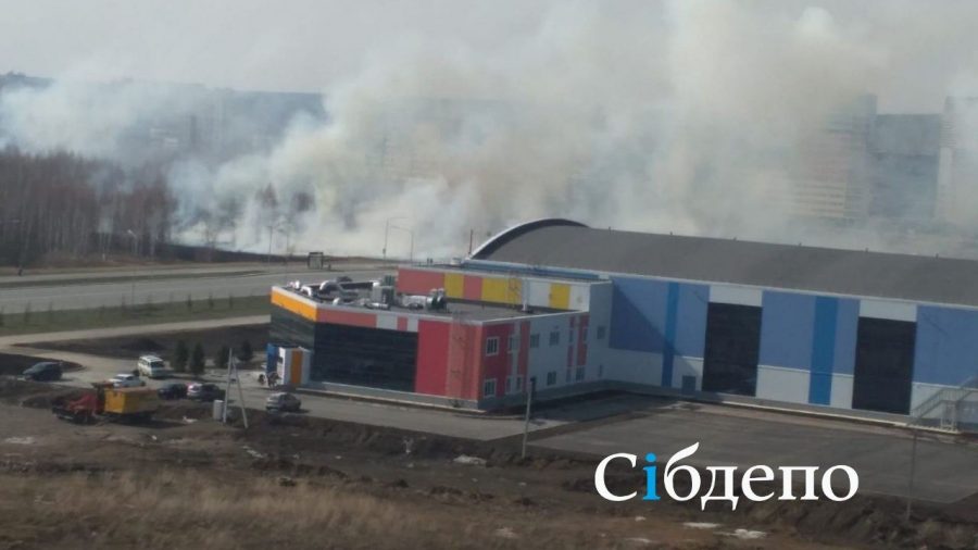 Около нового спорткомплекса в Кемерове загорелся парк: подробности