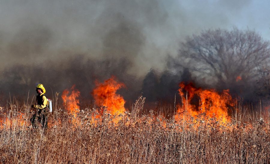 Погибло 37 кур и уничтожено несколько участков: в кузбасском поселке пожар в поле добрался до домов