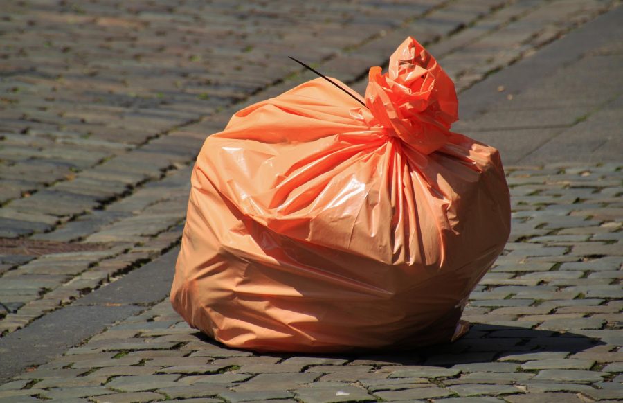Житель Кузбасса выбросил мусор и сразу после этого попал под статью