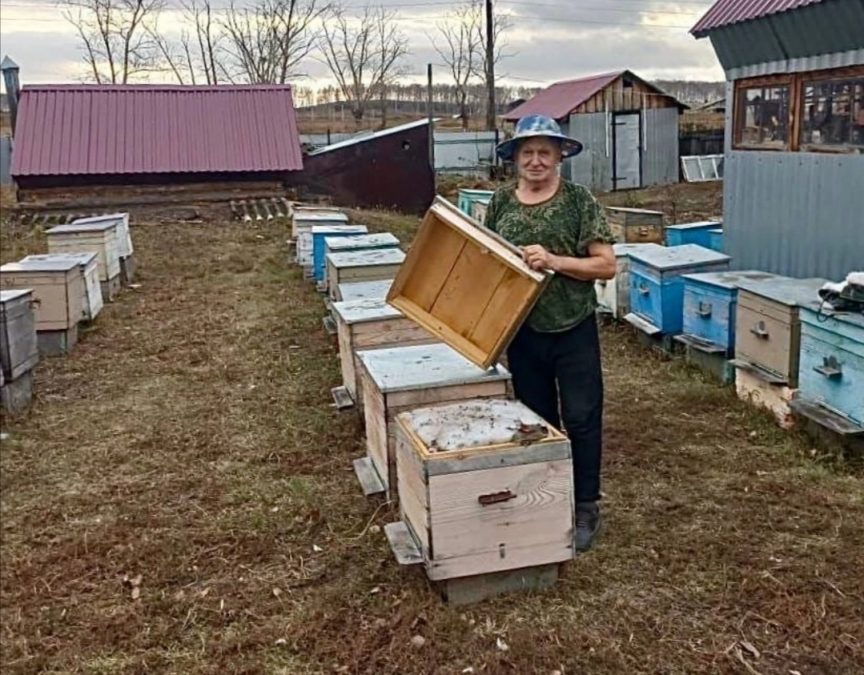 В Кузбассе пасечники снабжают солдат СВО мёдом