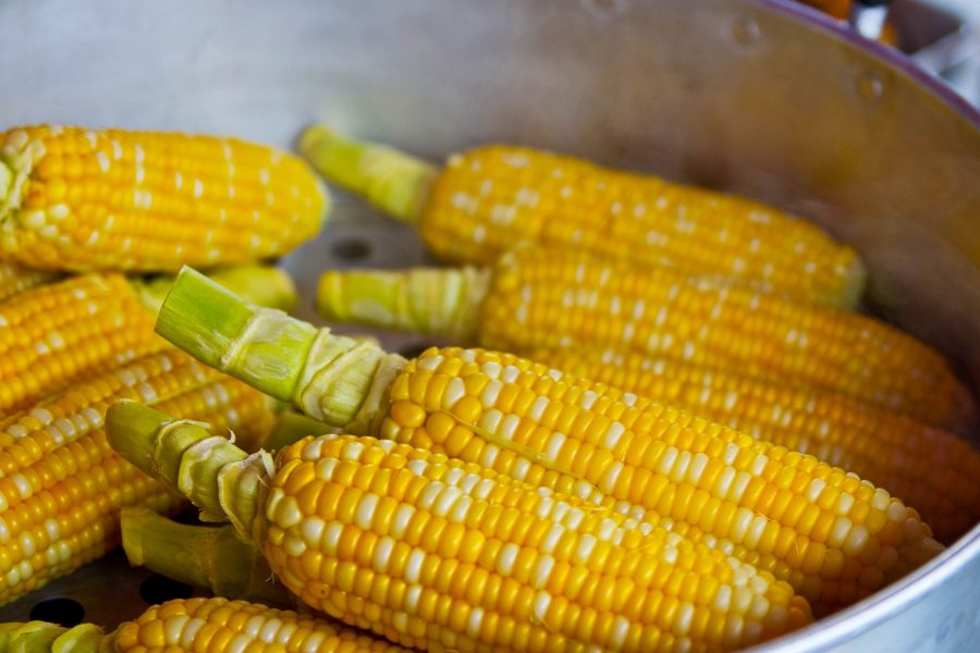 В опасной кукурузе, которую поставляли в Кузбасс, обнаружили парализующий яд