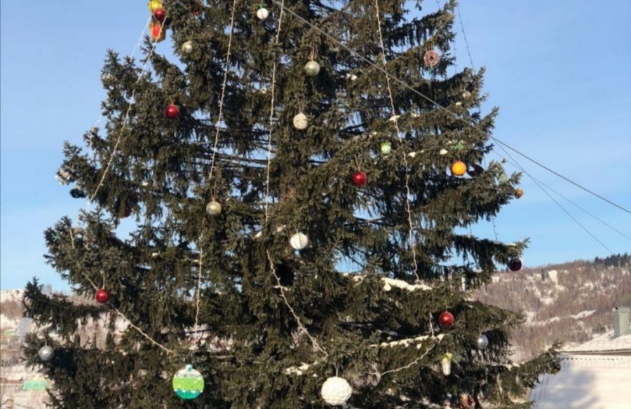 В Кузбассе новогодняя ёлка вызвала у жителей сочувствие и грусть
