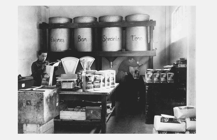 phân loại hạt cafe tại xưởng và kiểm nghiệm sản phẩm