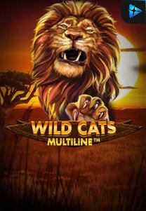 Bocoran RTP Slot Wild Cat Multiline di SIHOKI