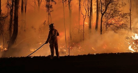 australian fire donations