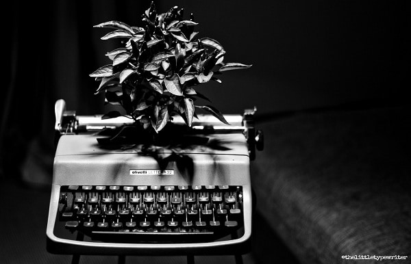 the-little-typewriter-repurposed