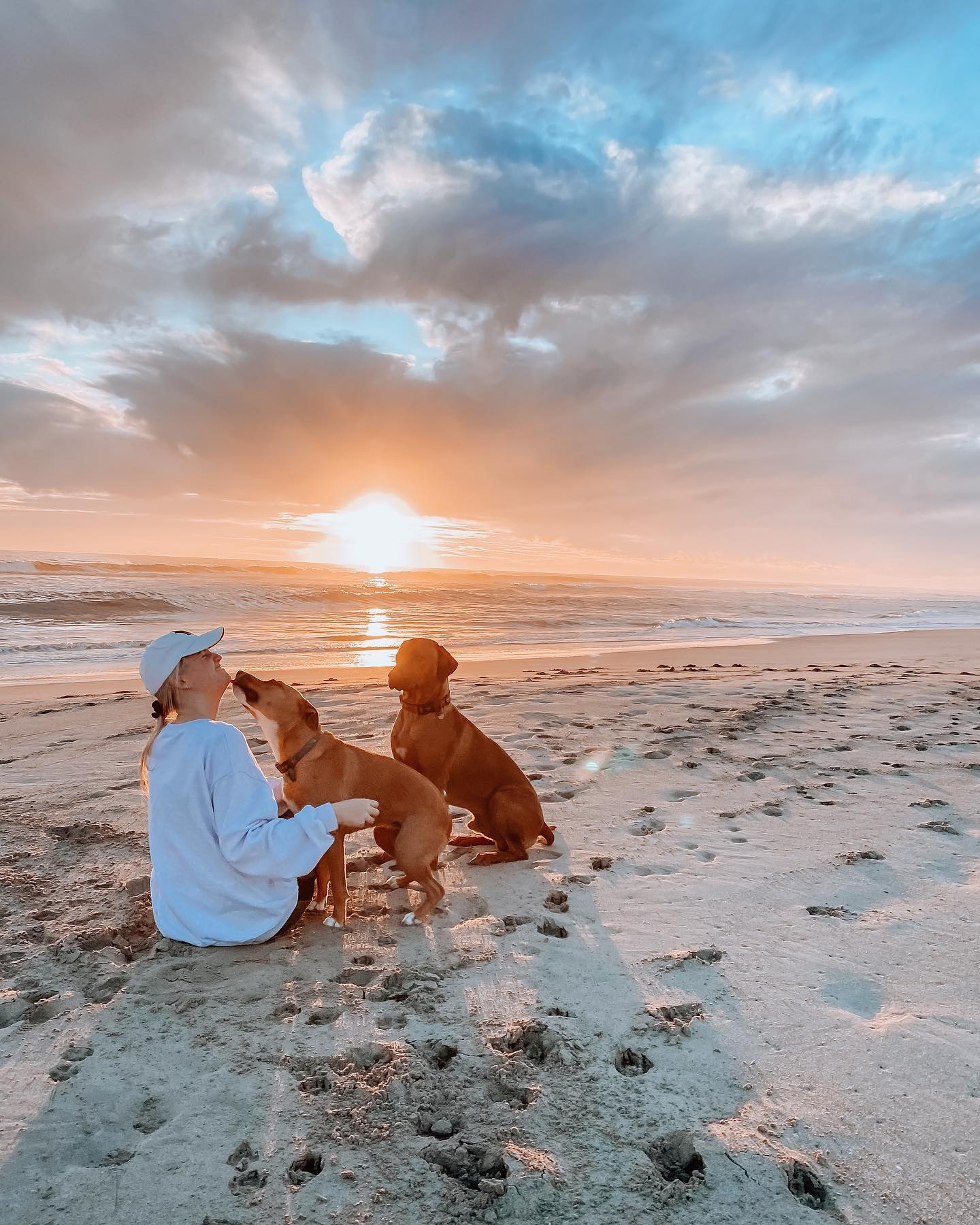 Best dog beaches in Perth