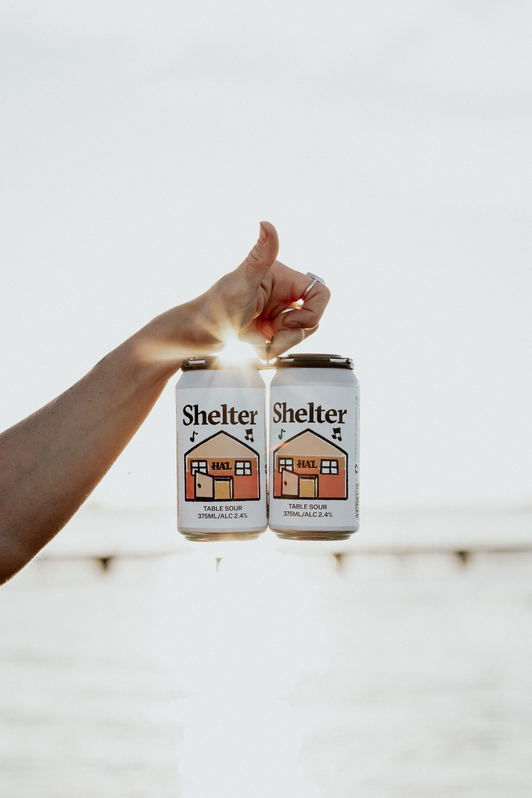 Shelter Brewing Co Table Sour