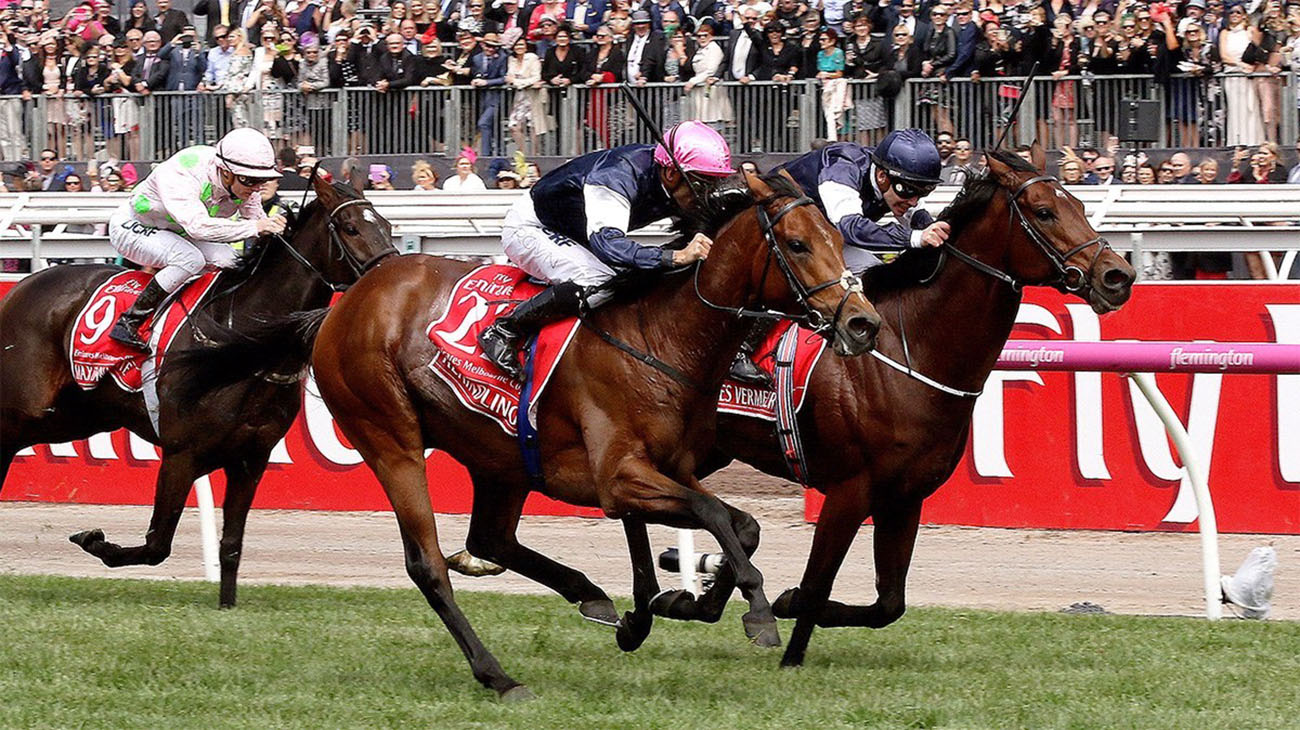 Melbourne Cup Roughies 2022