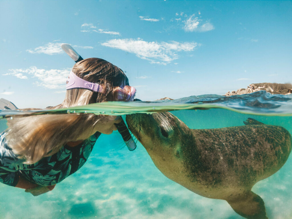 A blonde female with a pink snorkel kisses a seal in clear ocean water