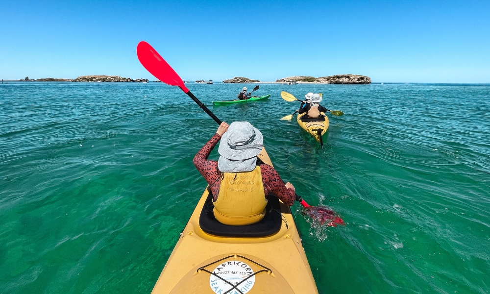 Explore Shoalwater Marine Park with a Capricorn Sea Kayaking tour