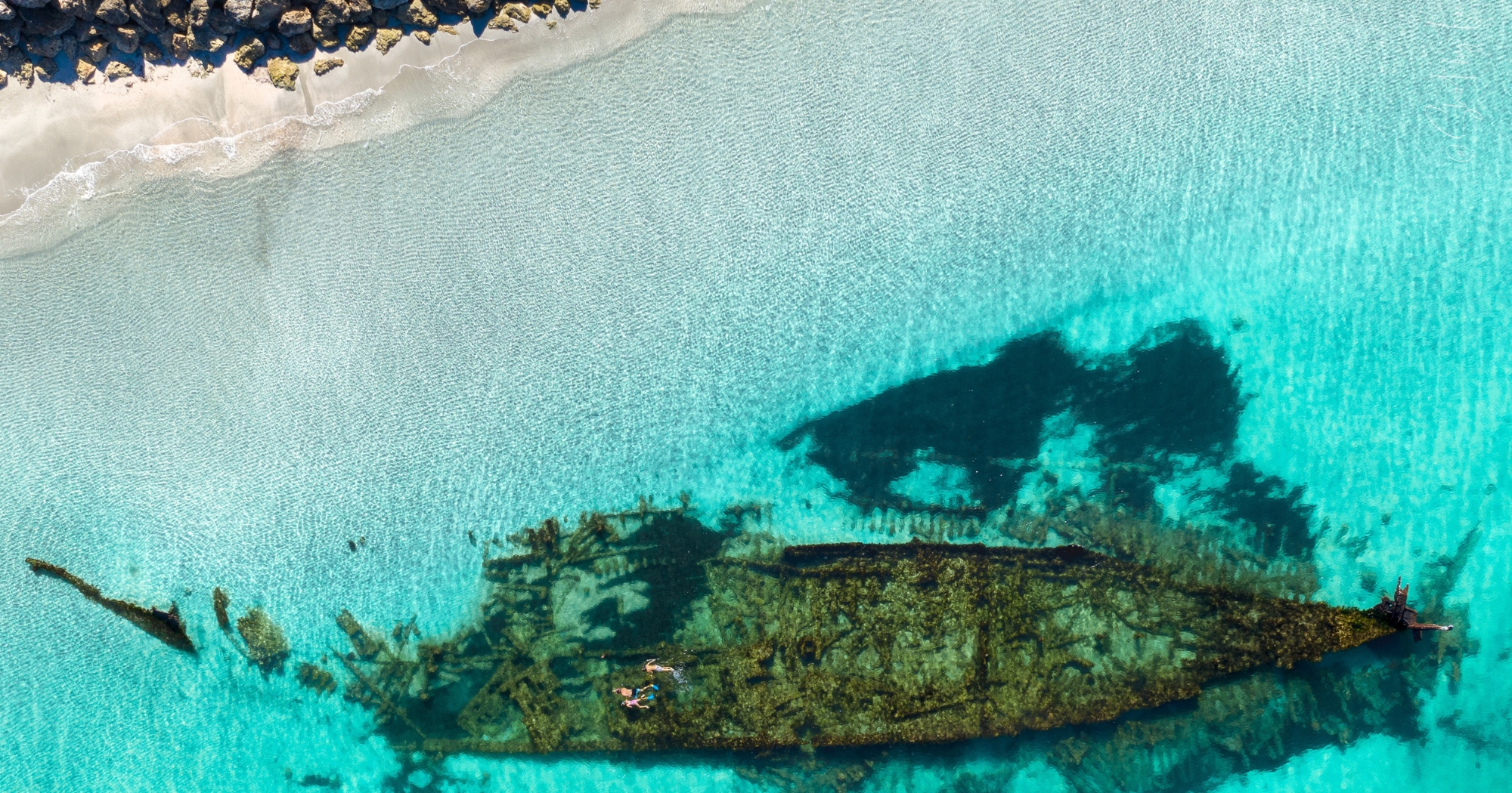 Omeo Wreck, Coogee Beach