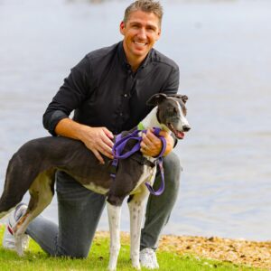 Greyhounds as Pets - National Greyhound Adoption Month