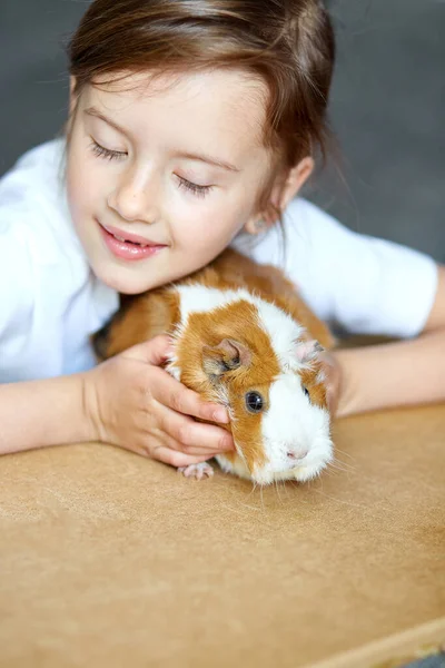 Portrait Happy Smiling Little Girl Hugging Red Guinea Pig Adorable Stock Photo