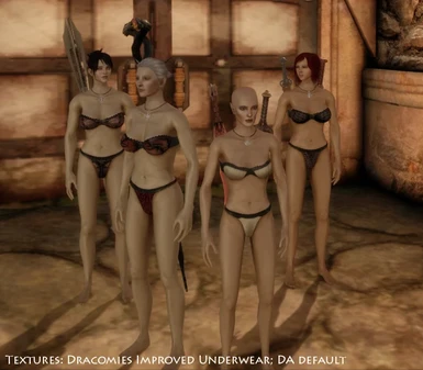 Nude Variety v4 Custom Bodies for All