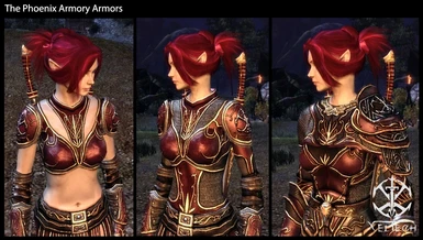 The Phoenix Armory Armors
