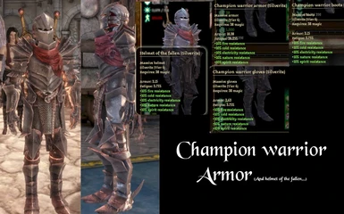 champion warrior armor