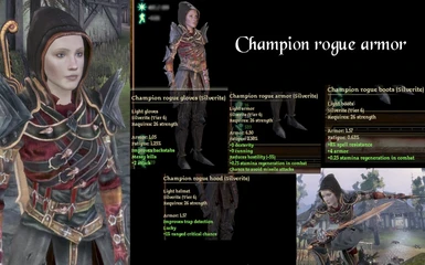 champion rogue armor