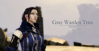 Grey Warden Triss armor Retexture