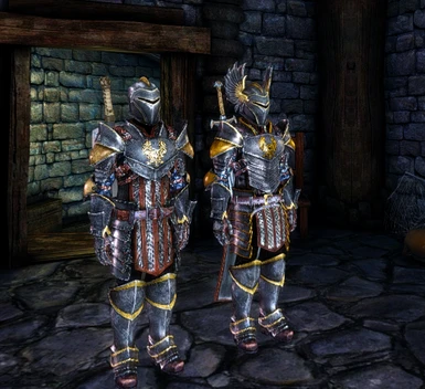 Warden Armour Retexture