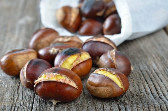 Come Congelare Le Castagne Crude E Cotte