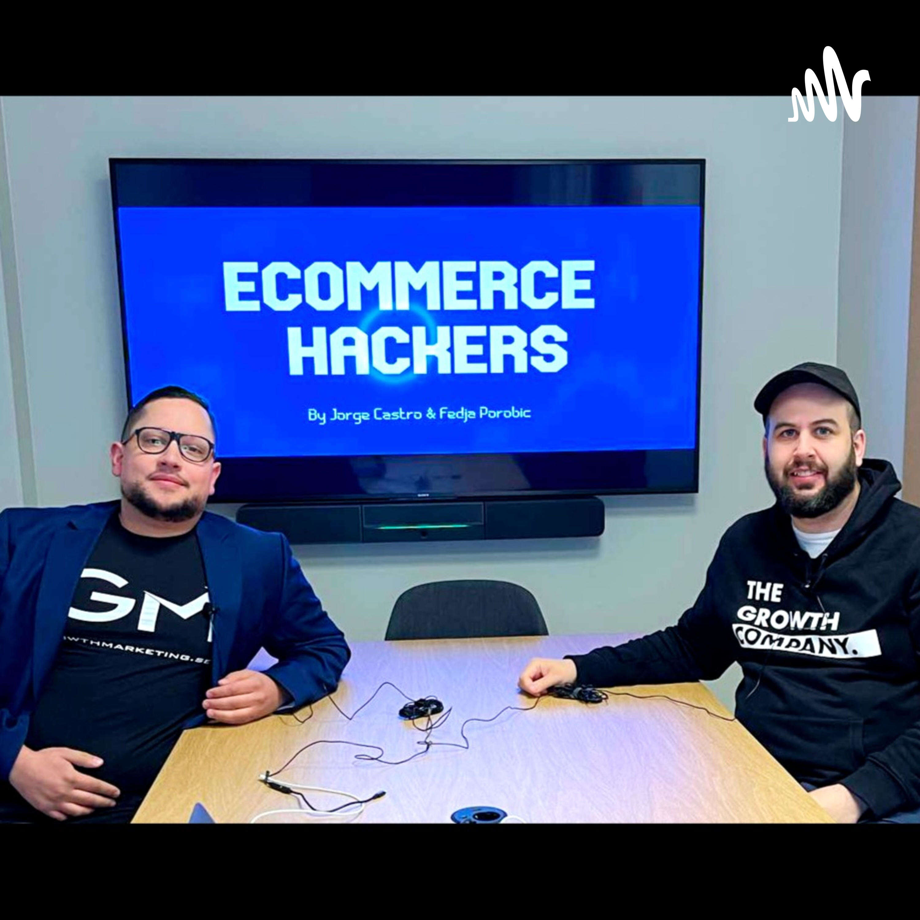 Ecommerce Hackers