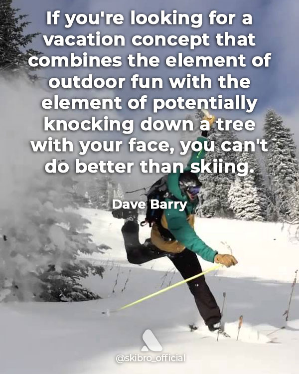 Funny skiing quote by dave barry - knocking trees down with your face