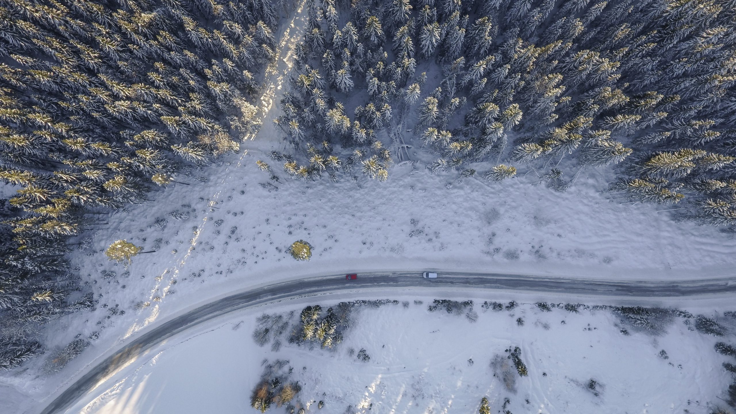 cars driving through snow covered trees, shot from drone