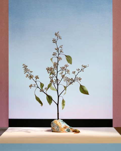 Alex Yudzon - Pear with Tree. From the Still Life series