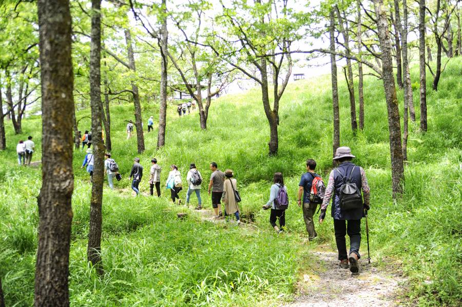Kurokawa Onsen – Walking Trails around Kurokawa Onsen 