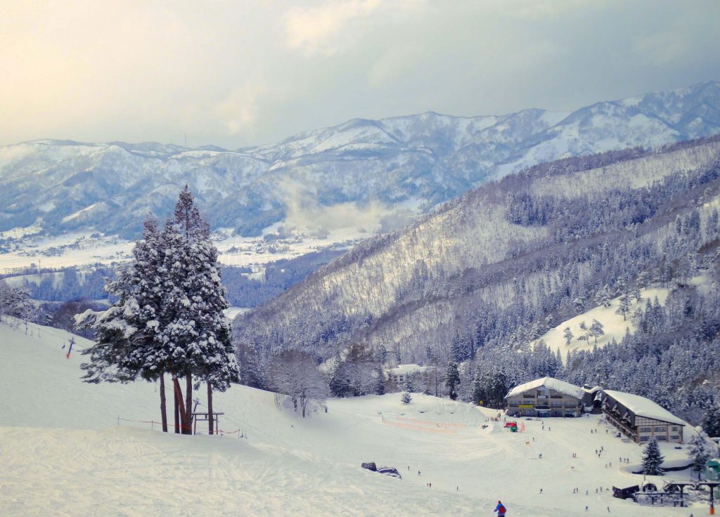 Where to Ski in Japan Spot #4 - Nozawa Onsen 2
