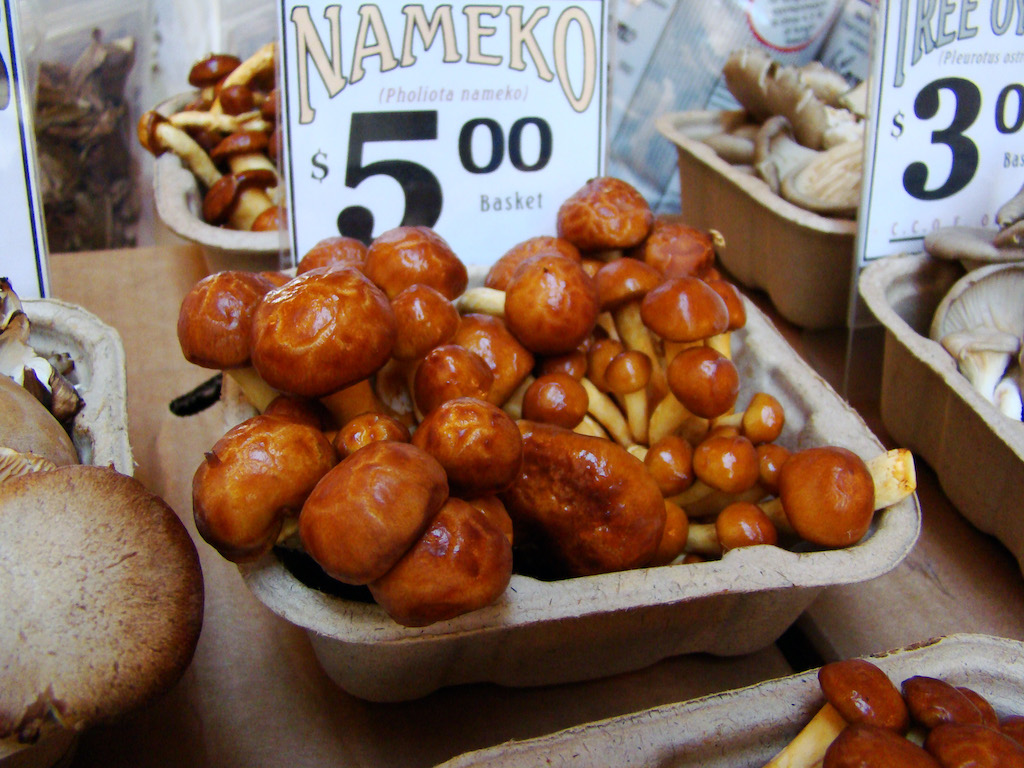 Japanese Mushrooms - Nameko 1