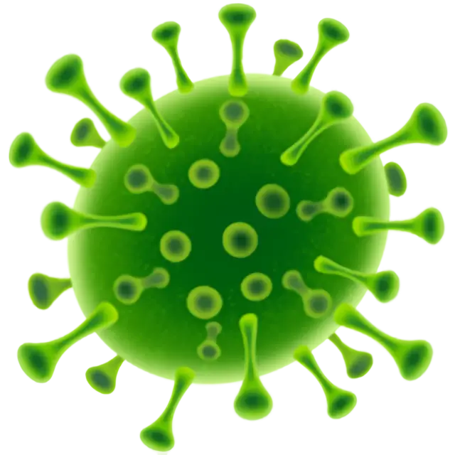 Coronavirus