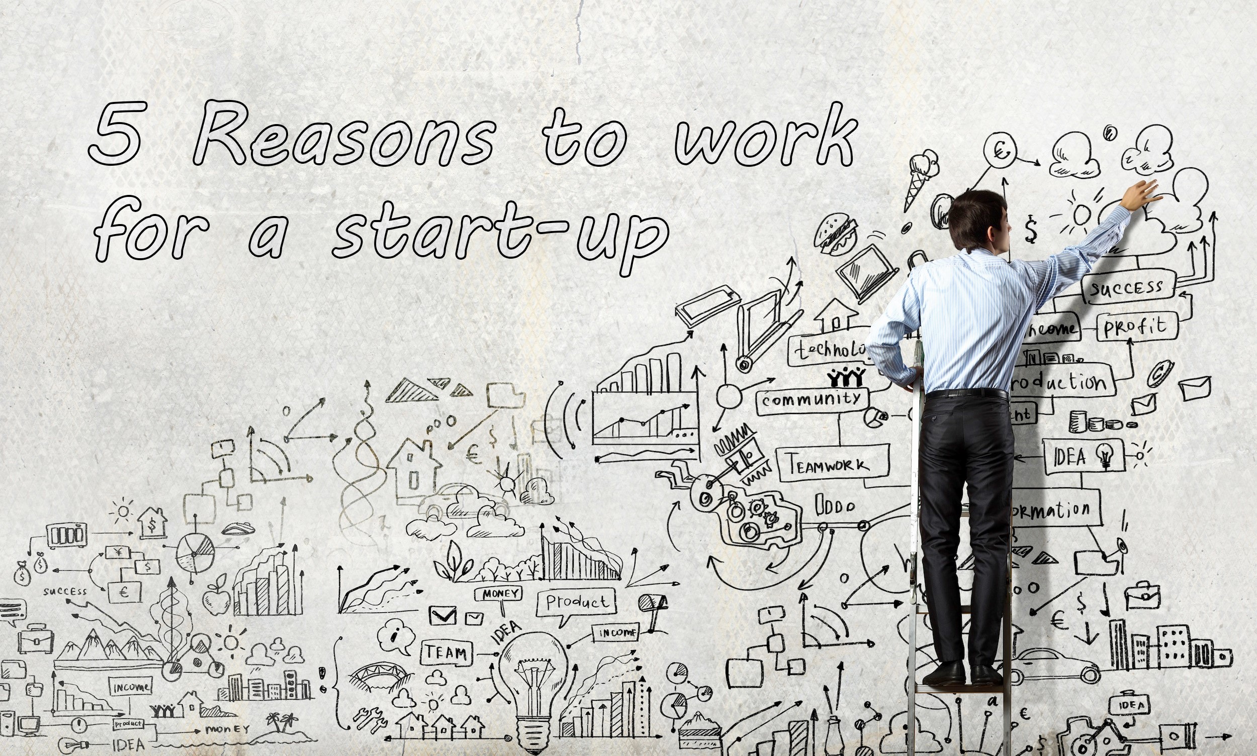 5 Reasons to work for a startup